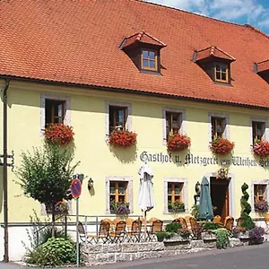 Weißer Schwan Windischeschenbach
